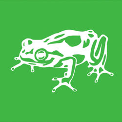 Frog Design